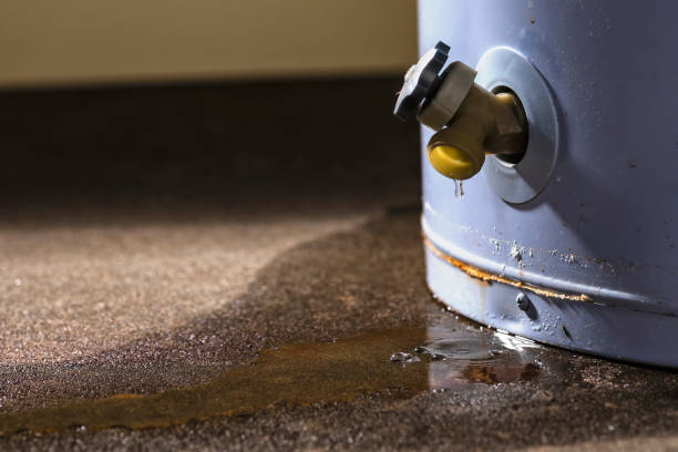 Best Mold removal after water damage  in Plain City, OH