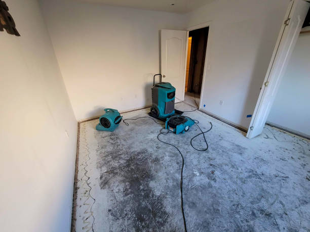 Best Local water damage restoration  in Plain City, OH