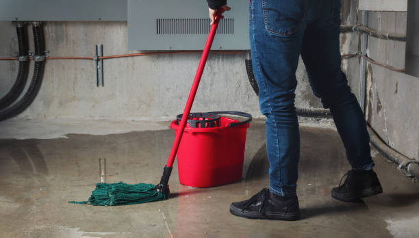 Best Water damage restoration near me  in Plain City, OH
