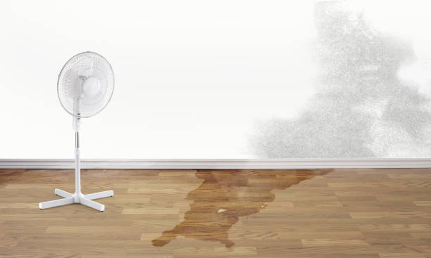 Best 24/7 water damage repair  in Plain City, OH