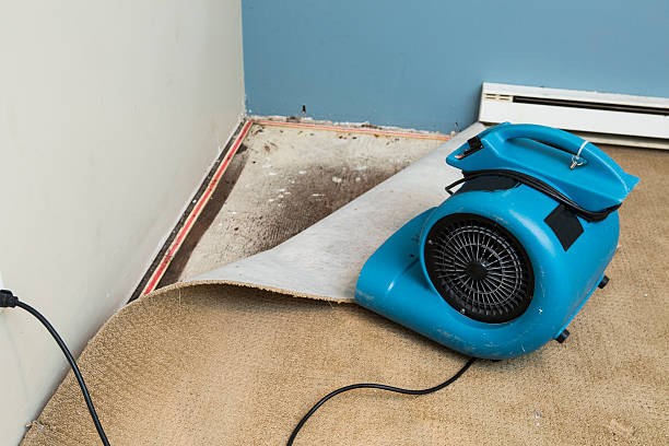 Best Water damage repair service  in Plain City, OH